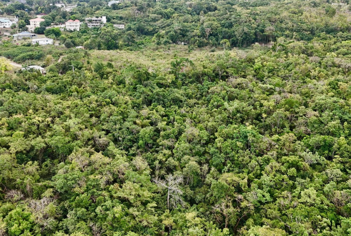 Seventeenth image of Discovery Bay in Discovery Bay, St. Ann, Jamaica - property is For Sale