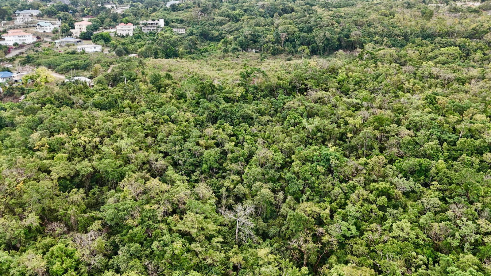 Seventeenth image of Discovery Bay in Discovery Bay, St. Ann, Jamaica - property is For Sale