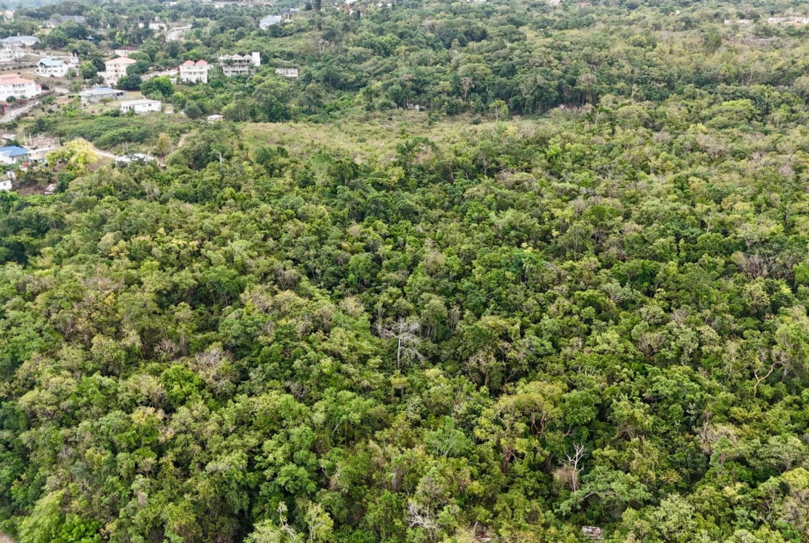 Ninth image of Discovery Bay in Discovery Bay, St. Ann, Jamaica - property is For Sale