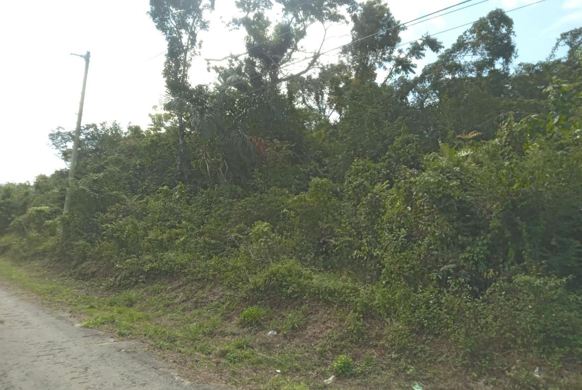 Fifteenth image of 19 Knapdale in Knapdale, St. Ann, Jamaica - property is For Sale