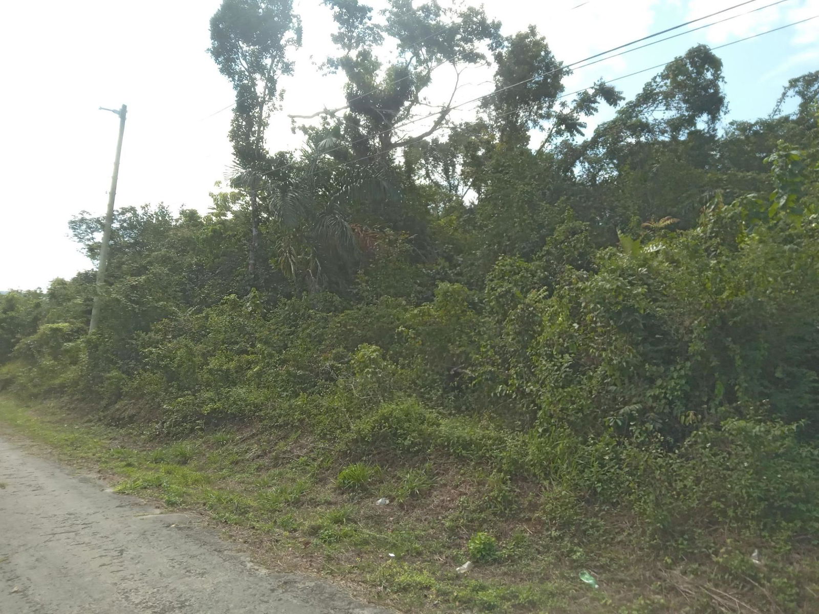 4.8-Acre-Residential-Lot-for-Sale-in-Knapdale-St.-Ann-Jamaica Fifteenth image of 19 Knapdale in Knapdale, St. Ann, Jamaica - property is For Sale