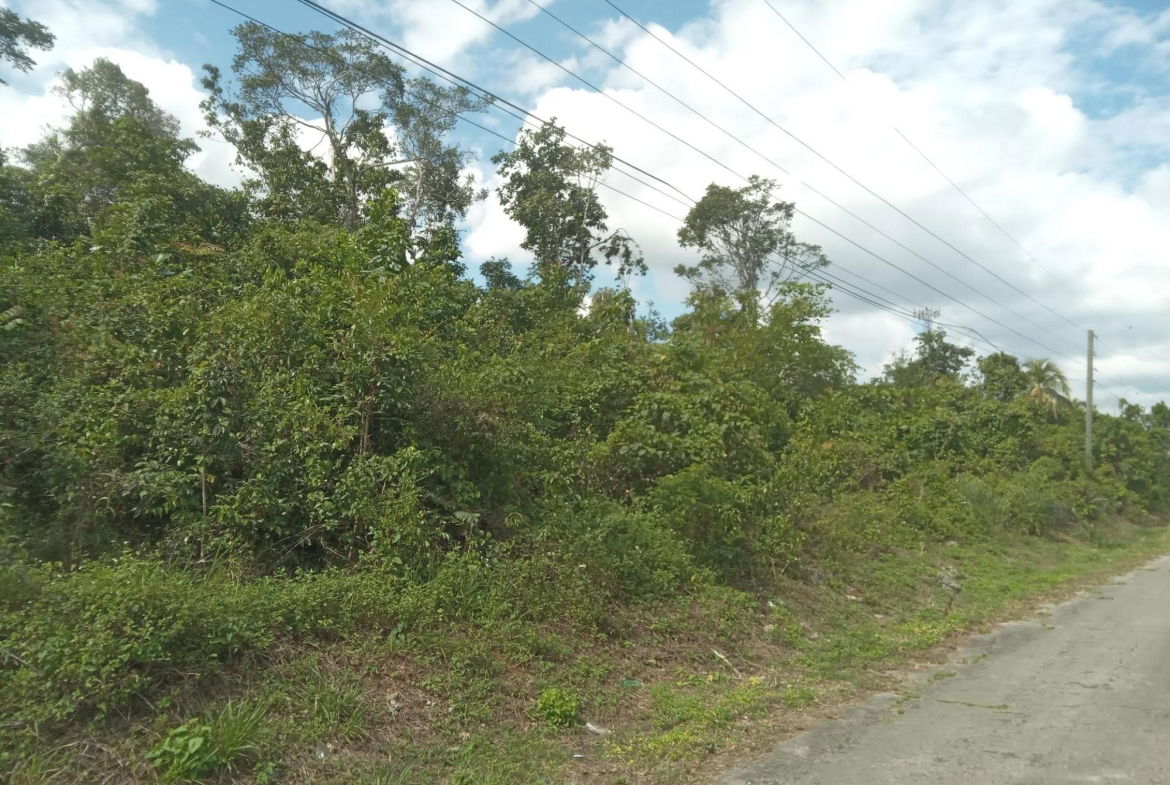 Sixteenth image of 19 Knapdale in Knapdale, St. Ann, Jamaica - property is For Sale