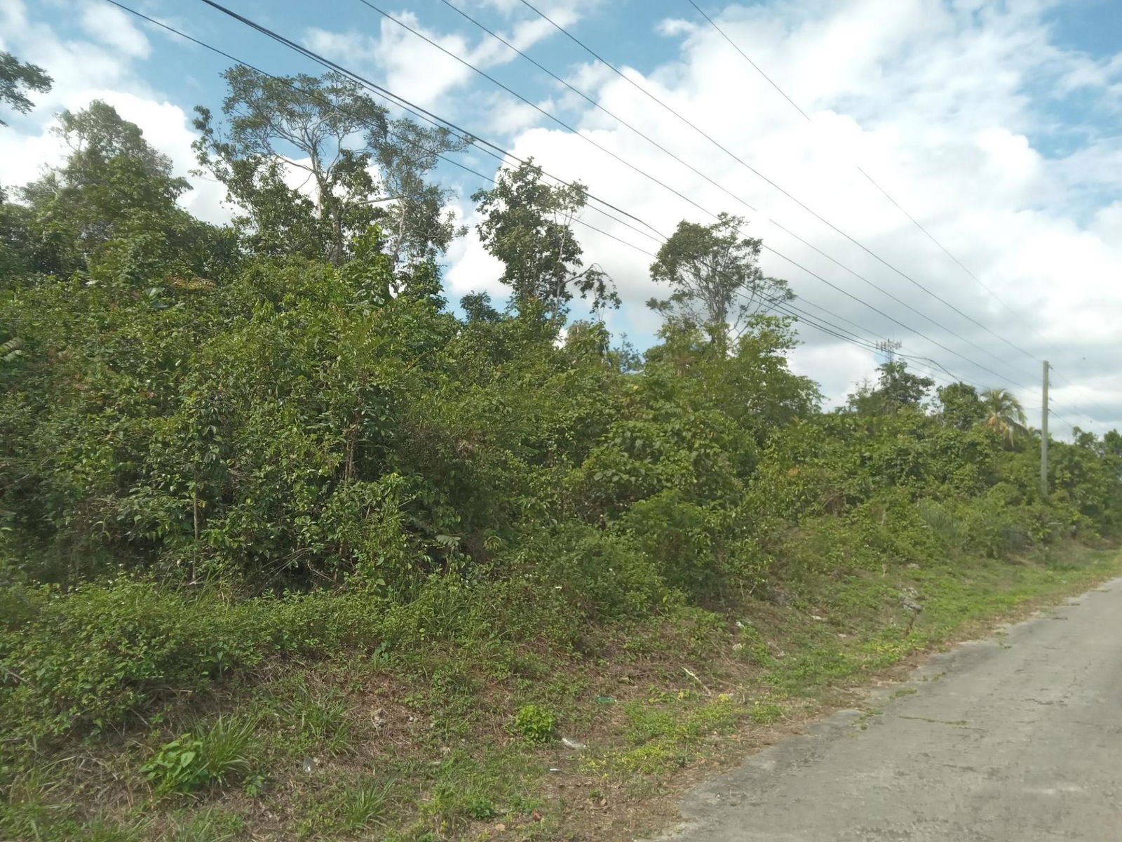 4.8-Acre-Residential-Lot-for-Sale-in-Knapdale-St.-Ann-Jamaica Sixteenth image of 19 Knapdale in Knapdale, St. Ann, Jamaica - property is For Sale