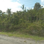 First image of 19 Knapdale in Knapdale, St. Ann, Jamaica - property is For Sale