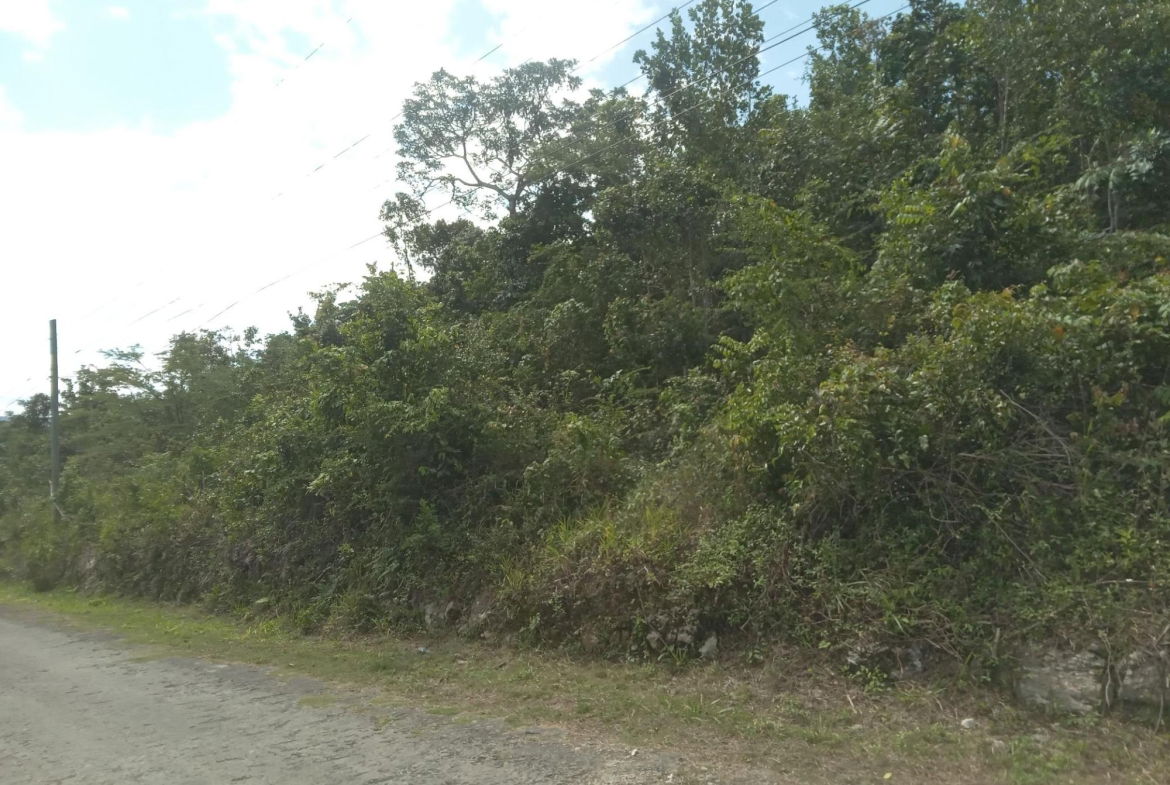 Seventeenth image of 19 Knapdale in Knapdale, St. Ann, Jamaica - property is For Sale