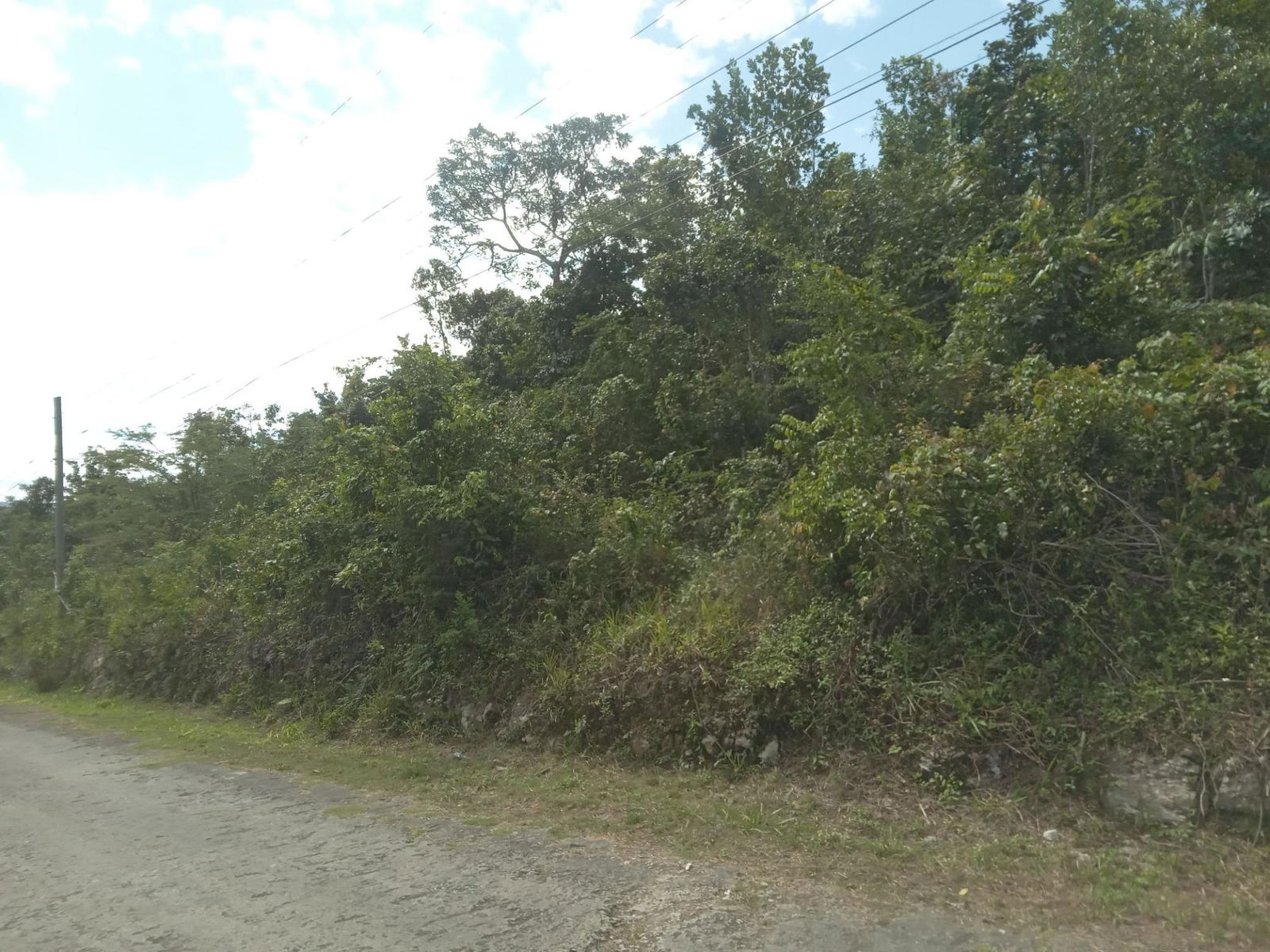 4.8-Acre-Residential-Lot-for-Sale-in-Knapdale-St.-Ann-Jamaica Seventeenth image of 19 Knapdale in Knapdale, St. Ann, Jamaica - property is For Sale