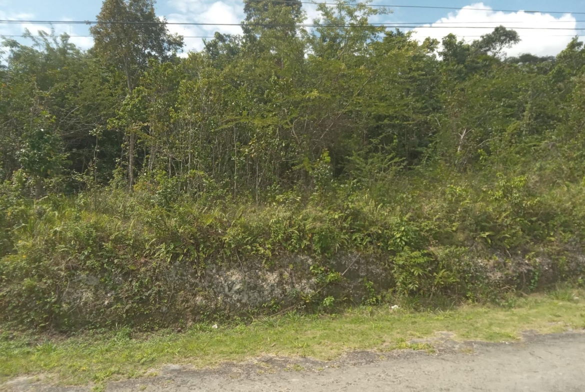 Nineteenth image of 19 Knapdale in Knapdale, St. Ann, Jamaica - property is For Sale