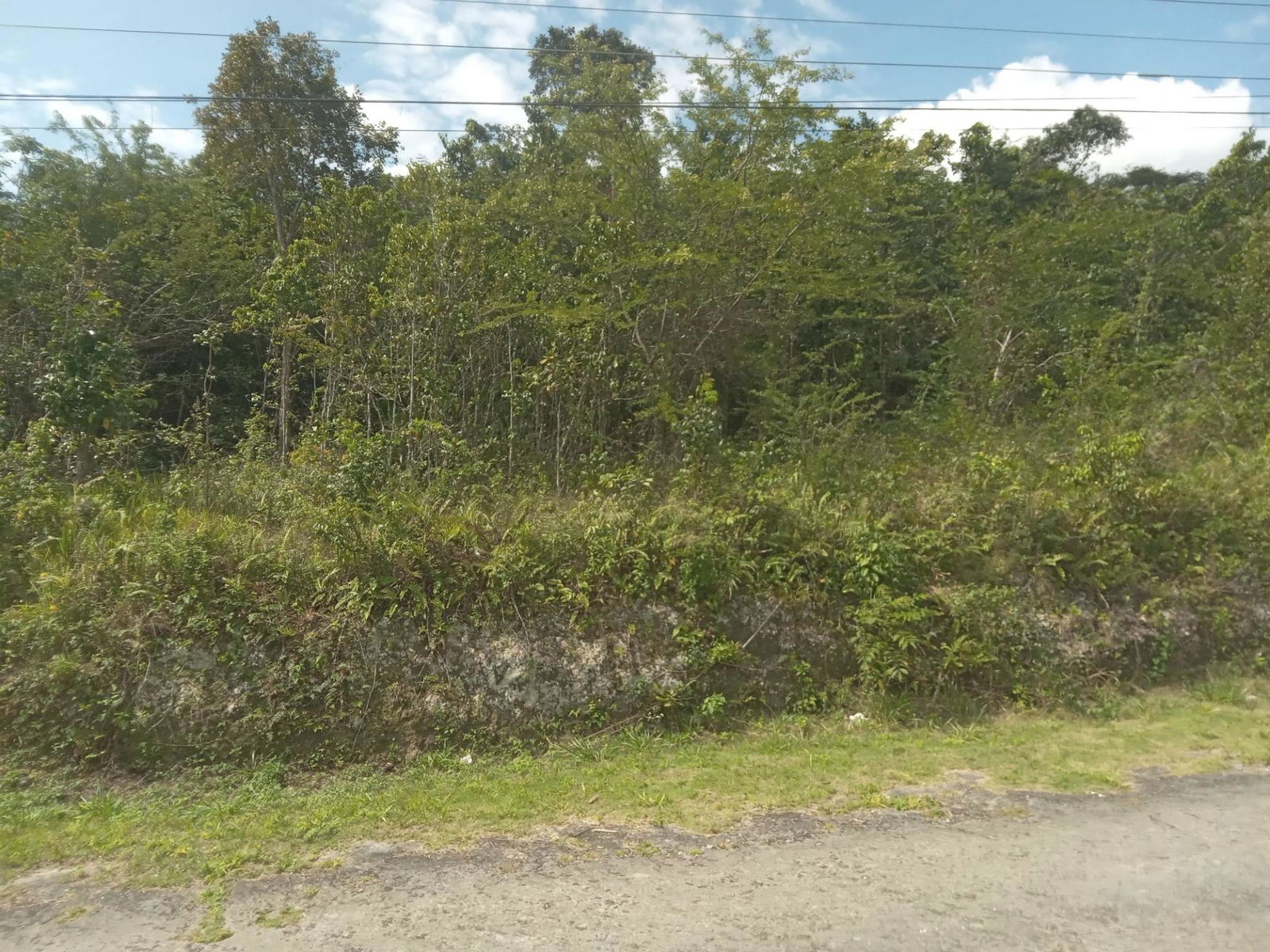 4.8-Acre-Residential-Lot-for-Sale-in-Knapdale-St.-Ann-Jamaica Nineteenth image of 19 Knapdale in Knapdale, St. Ann, Jamaica - property is For Sale