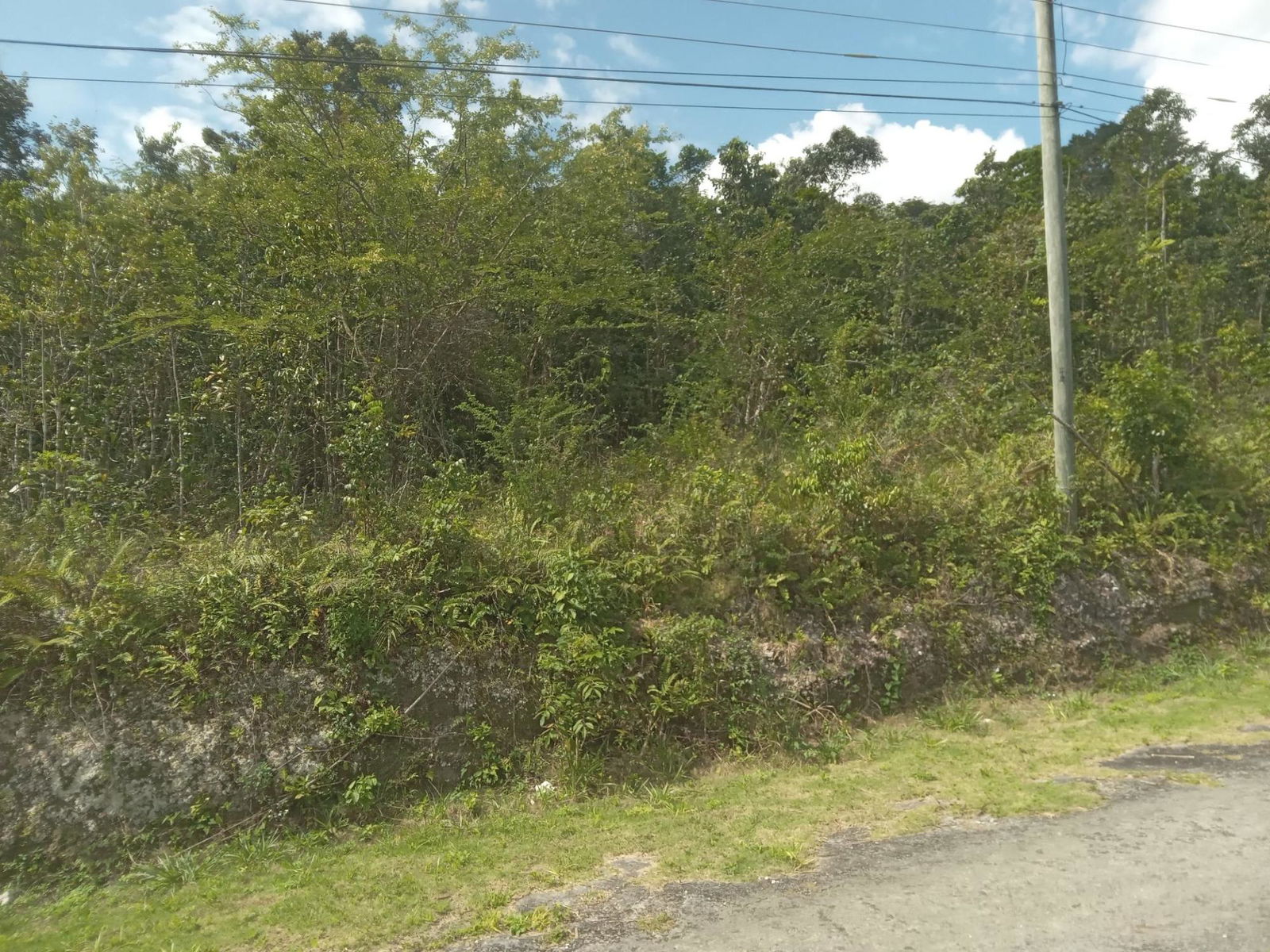 4.8-Acre-Residential-Lot-for-Sale-in-Knapdale-St.-Ann-Jamaica Twenty-First image of 19 Knapdale in Knapdale, St. Ann, Jamaica - property is For Sale