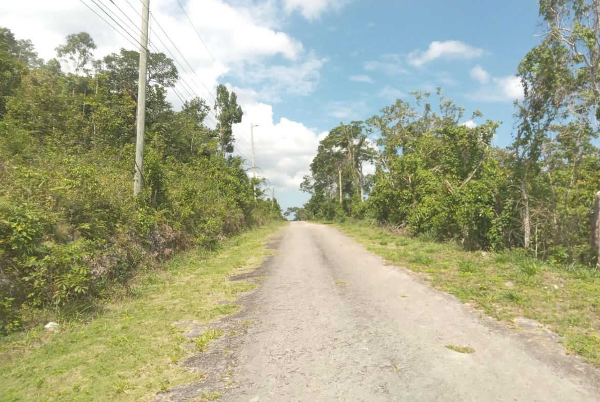 Twenty-Fourth image of 19 Knapdale in Knapdale, St. Ann, Jamaica - property is For Sale