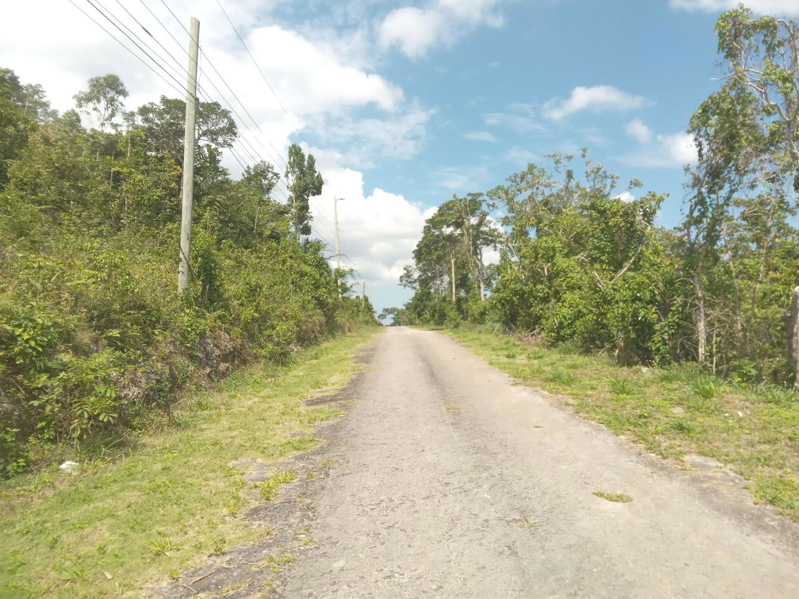 4.8-Acre-Residential-Lot-for-Sale-in-Knapdale-St.-Ann-Jamaica Twenty-Fourth image of 19 Knapdale in Knapdale, St. Ann, Jamaica - property is For Sale