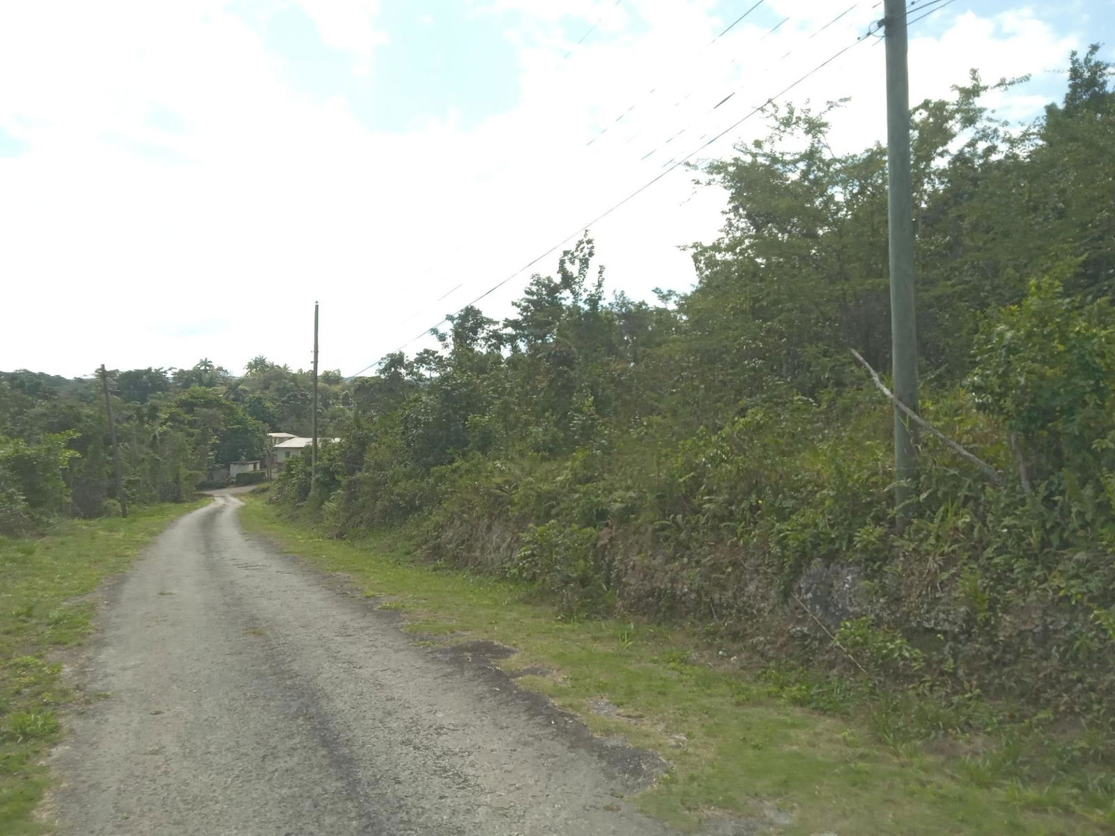 4.8-Acre-Residential-Lot-for-Sale-in-Knapdale-St.-Ann-Jamaica Fourth image of 19 Knapdale in Knapdale, St. Ann, Jamaica - property is For Sale