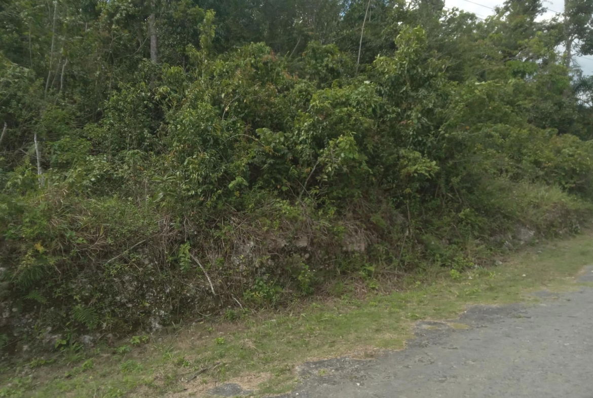 Fifth image of 19 Knapdale in Knapdale, St. Ann, Jamaica - property is For Sale