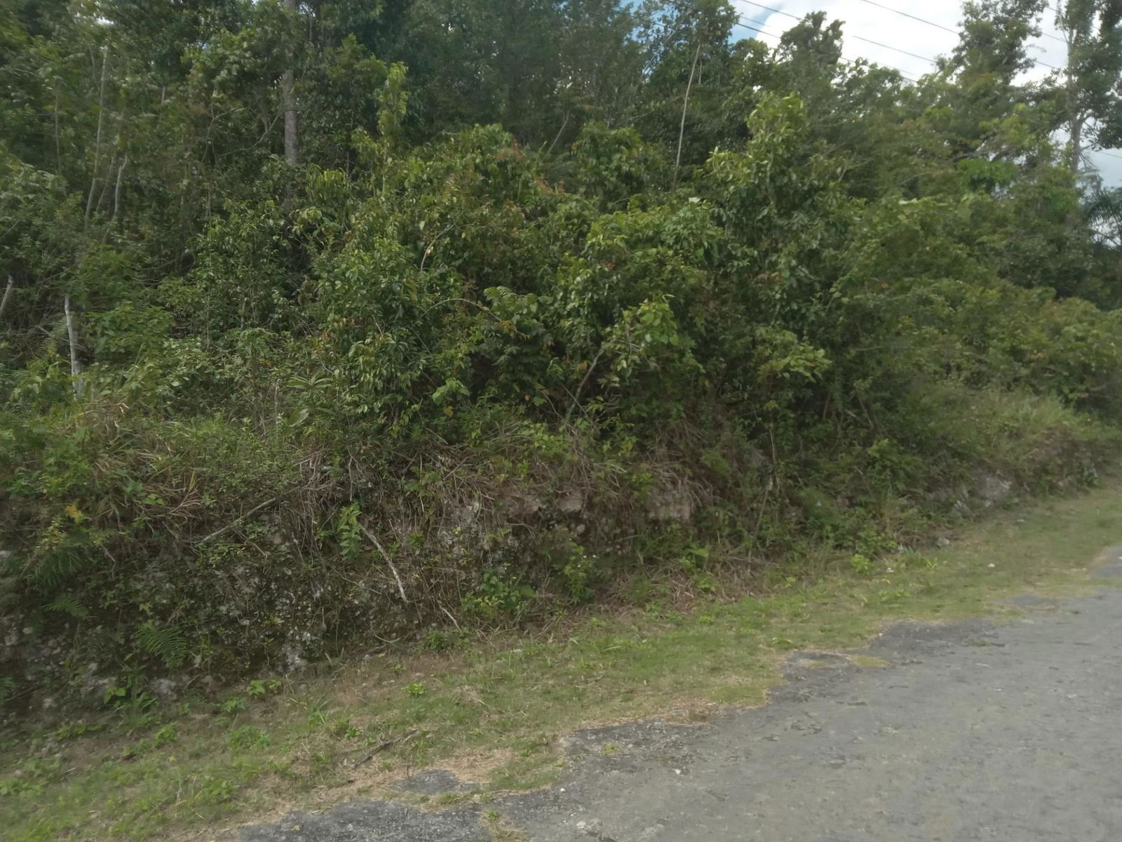 4.8-Acre-Residential-Lot-for-Sale-in-Knapdale-St.-Ann-Jamaica Fifth image of 19 Knapdale in Knapdale, St. Ann, Jamaica - property is For Sale
