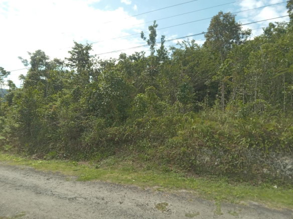 First image of 19 Knapdale in Knapdale, St. Ann, Jamaica - property is For Sale