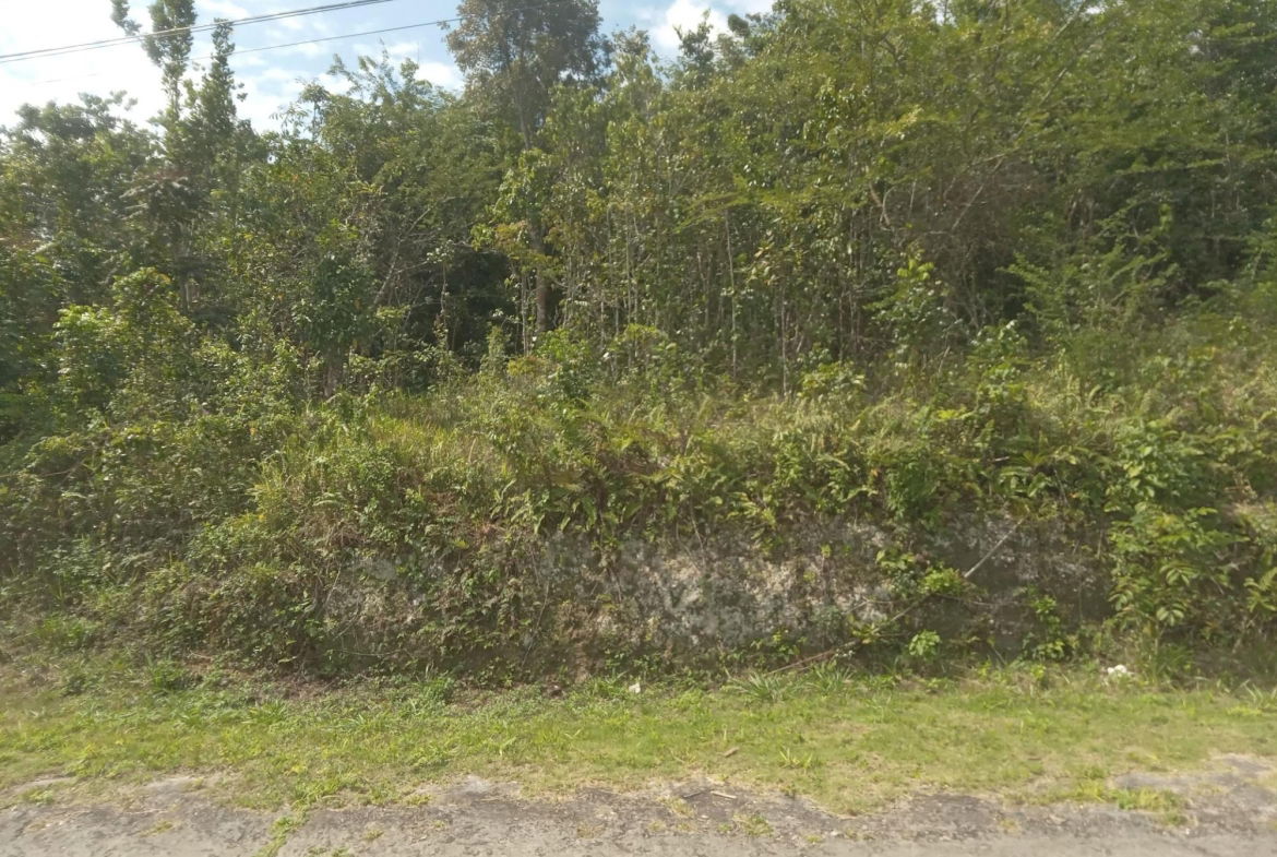 Seventh image of 19 Knapdale in Knapdale, St. Ann, Jamaica - property is For Sale
