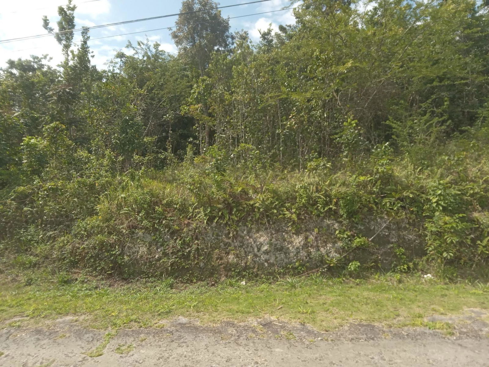 4.8-Acre-Residential-Lot-for-Sale-in-Knapdale-St.-Ann-Jamaica Seventh image of 19 Knapdale in Knapdale, St. Ann, Jamaica - property is For Sale