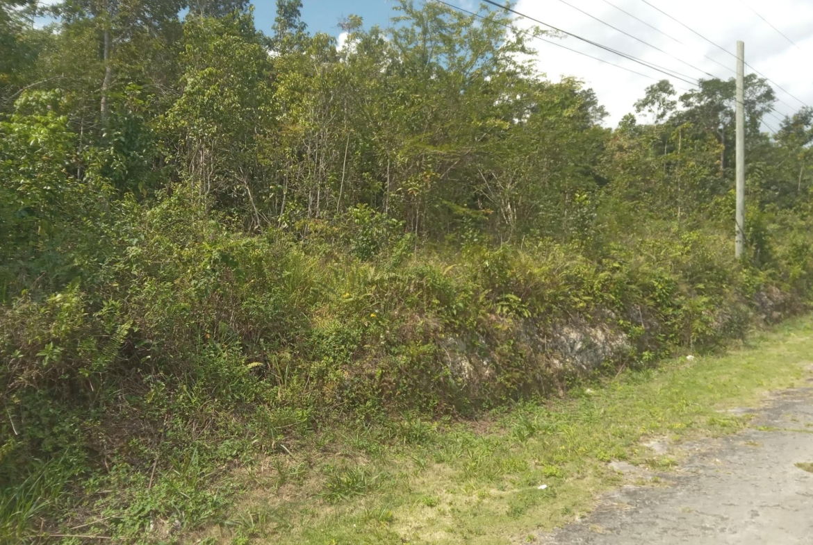 Eighth image of 19 Knapdale in Knapdale, St. Ann, Jamaica - property is For Sale