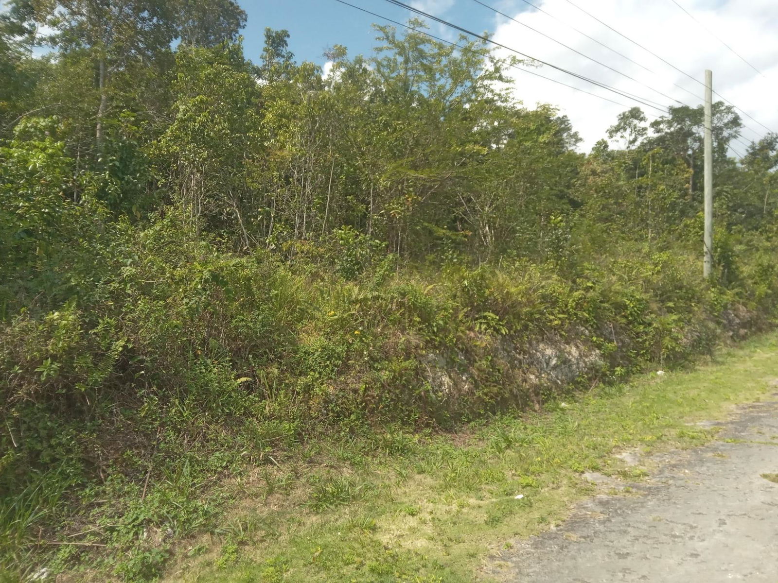 4.8-Acre-Residential-Lot-for-Sale-in-Knapdale-St.-Ann-Jamaica Eighth image of 19 Knapdale in Knapdale, St. Ann, Jamaica - property is For Sale