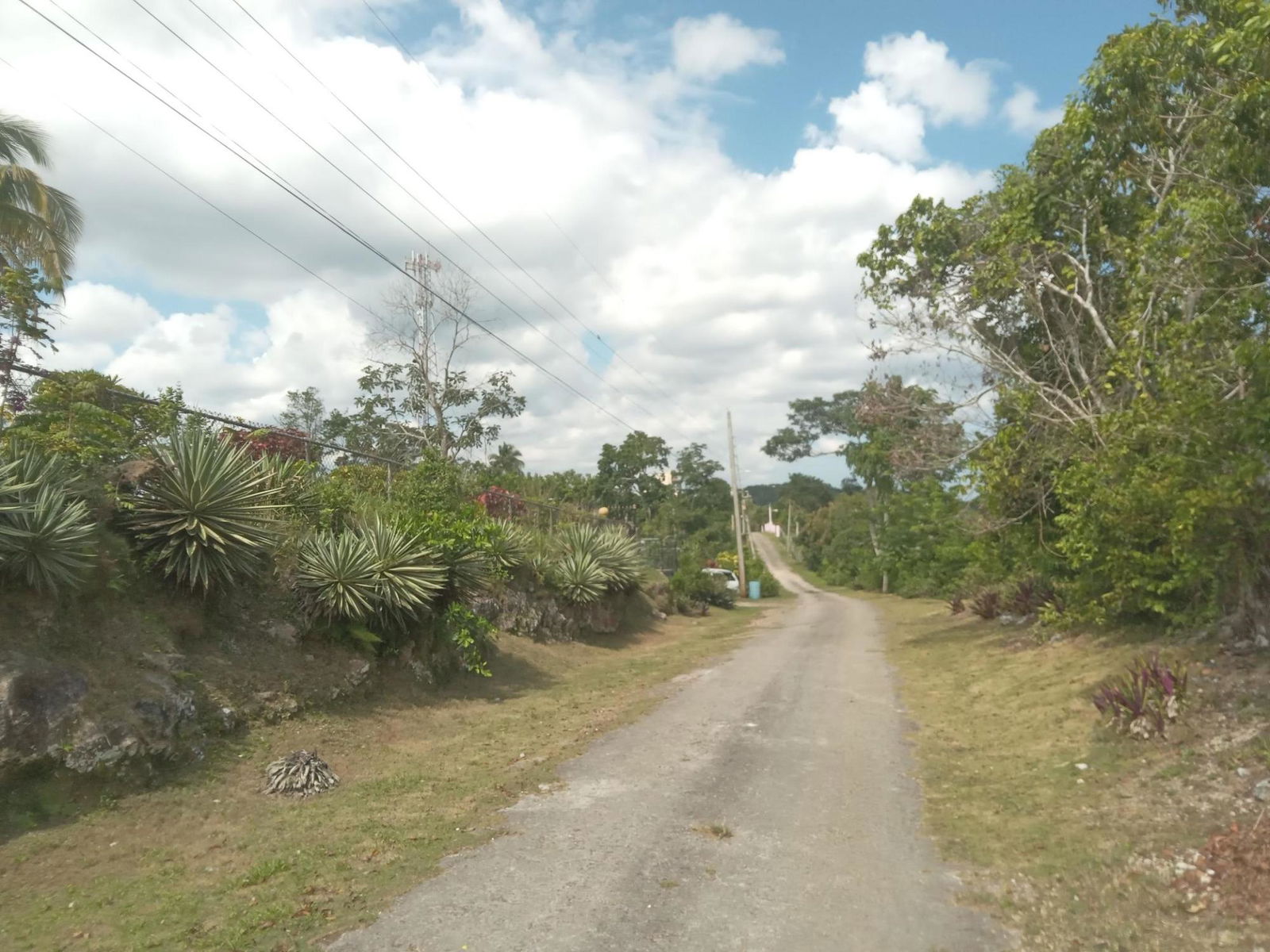 4.8-Acre-Residential-Lot-for-Sale-in-Knapdale-St.-Ann-Jamaica Ninth image of 19 Knapdale in Knapdale, St. Ann, Jamaica - property is For Sale