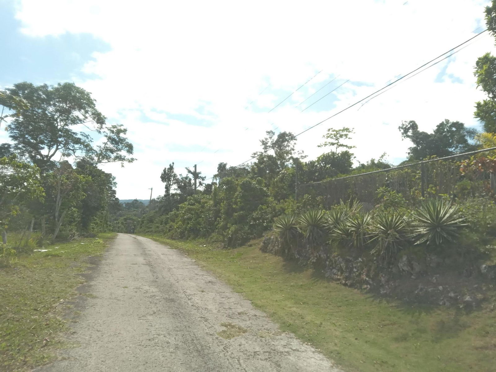 4.8-Acre-Residential-Lot-for-Sale-in-Knapdale-St.-Ann-Jamaica Tenth image of 19 Knapdale in Knapdale, St. Ann, Jamaica - property is For Sale