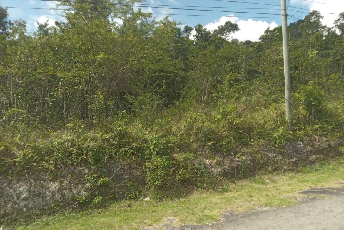 First image of Knapdale in Sturge Town, St. Ann, Jamaica - property is For Sale