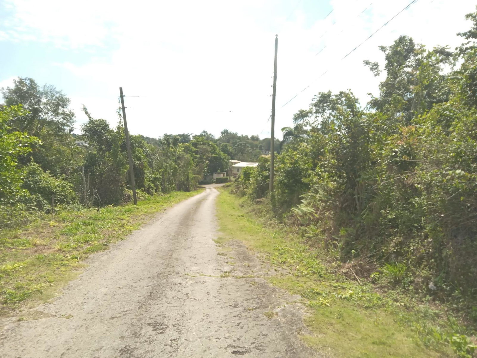 4.8-Acre-Vacant-Land-for-Sale-in-Knapdale-St.-Ann-Jamaica Third image of Knapdale in Sturge Town, St. Ann, Jamaica - property is For Sale