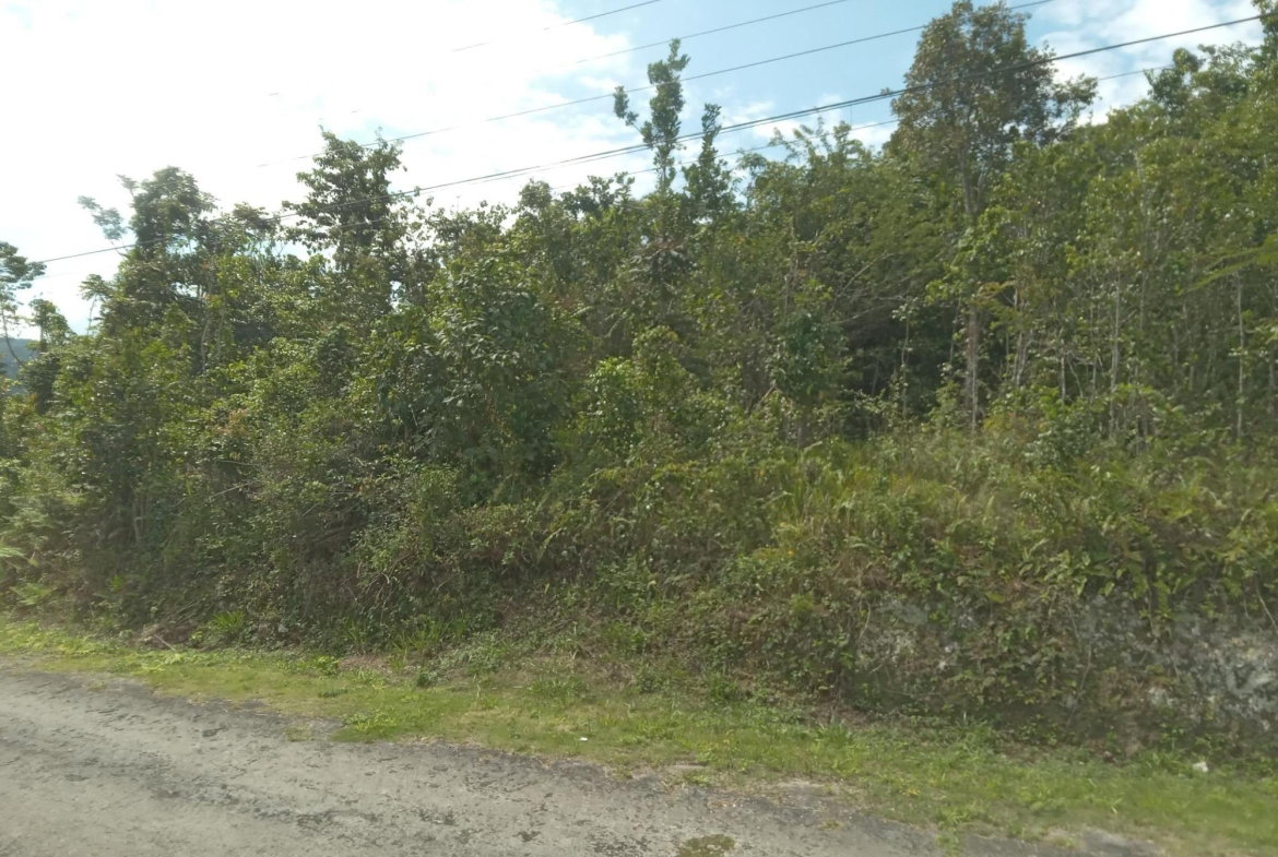 Fourth image of Knapdale in Sturge Town, St. Ann, Jamaica - property is For Sale