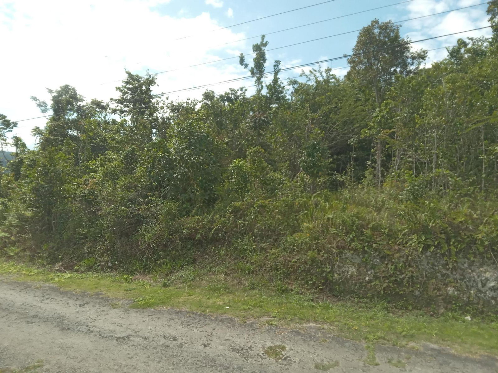 4.8-Acre-Vacant-Land-for-Sale-in-Knapdale-St.-Ann-Jamaica Fourth image of Knapdale in Sturge Town, St. Ann, Jamaica - property is For Sale