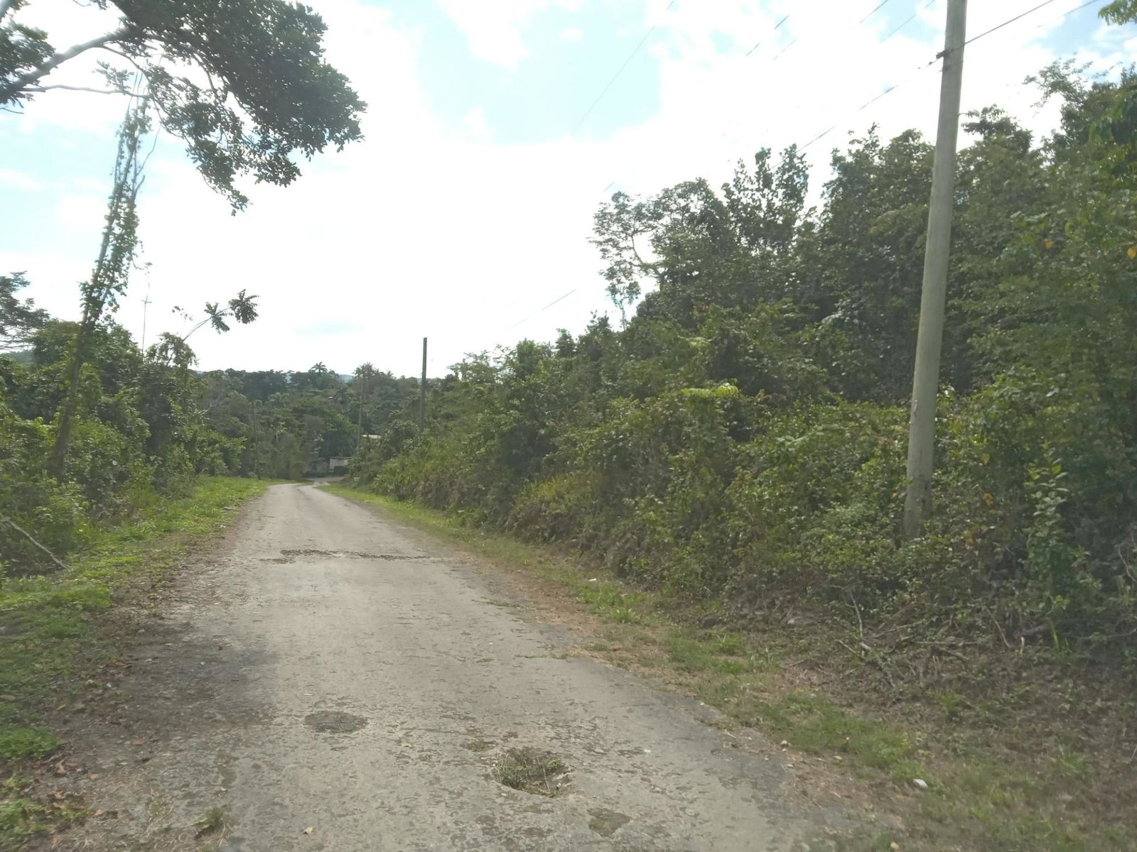 4.8-Acre-Vacant-Land-for-Sale-in-Knapdale-St.-Ann-Jamaica Sixth image of Knapdale in Sturge Town, St. Ann, Jamaica - property is For Sale