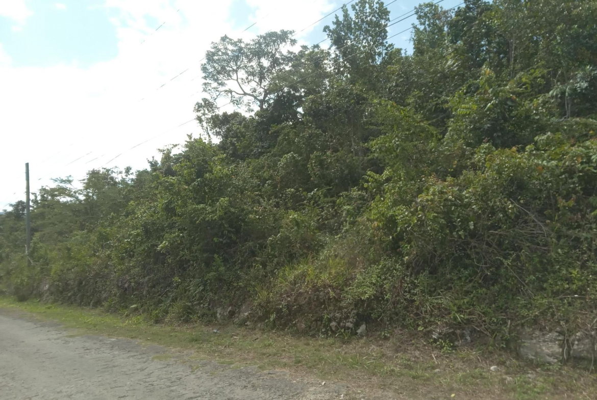 Seventh image of Knapdale in Sturge Town, St. Ann, Jamaica - property is For Sale