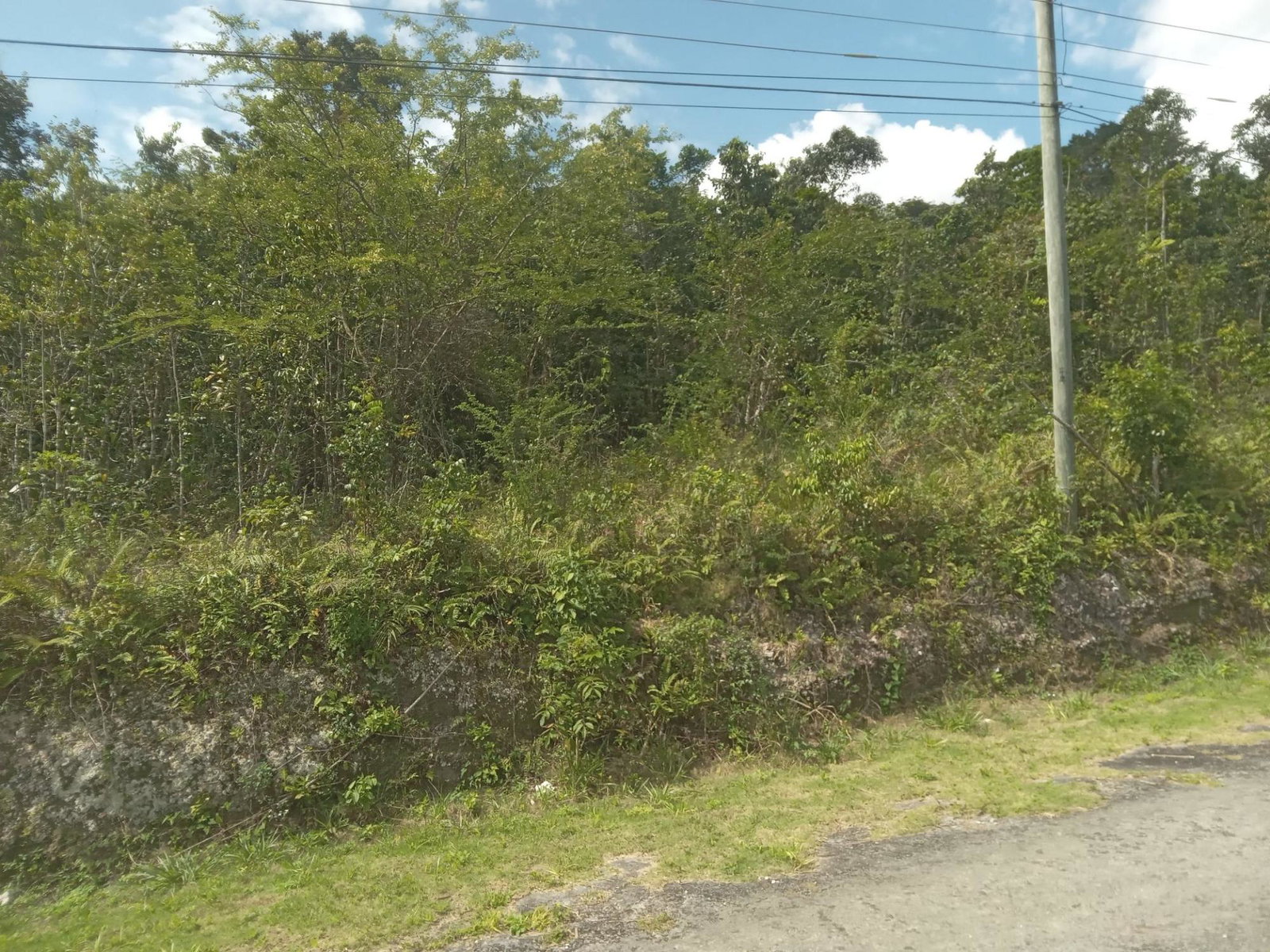 4.8-Acre-Vacant-Land-for-Sale-in-Knapdale-St.-Ann-Jamaica First image of Knapdale in Sturge Town, St. Ann, Jamaica - property is For Sale