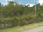 First image of Knapdale in Sturge Town, St. Ann, Jamaica - property is For Sale