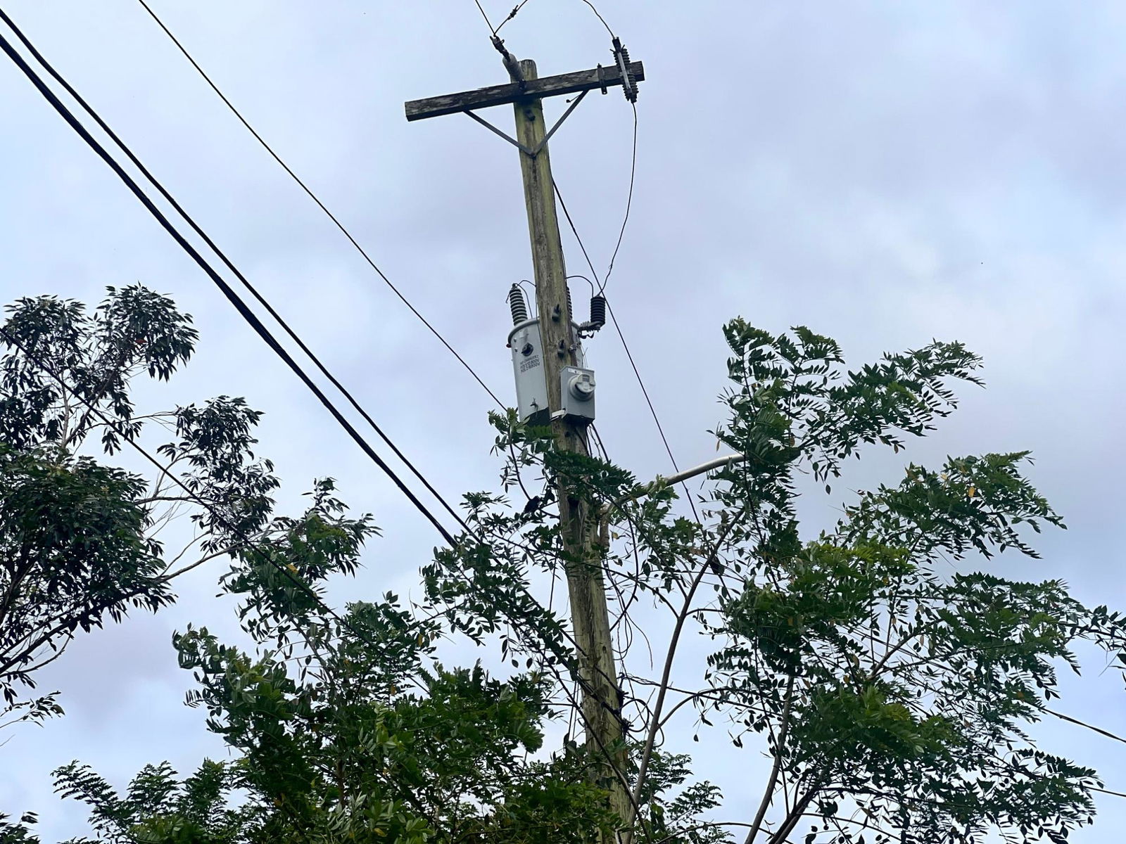 5-Acre-Hilltop-Residential-Land-for-Sale-in-Claremont-St.-Ann-Jamaica Eleventh image of Broad Street, Claremont in Claremont, St. Ann, Jamaica - property is For Sale