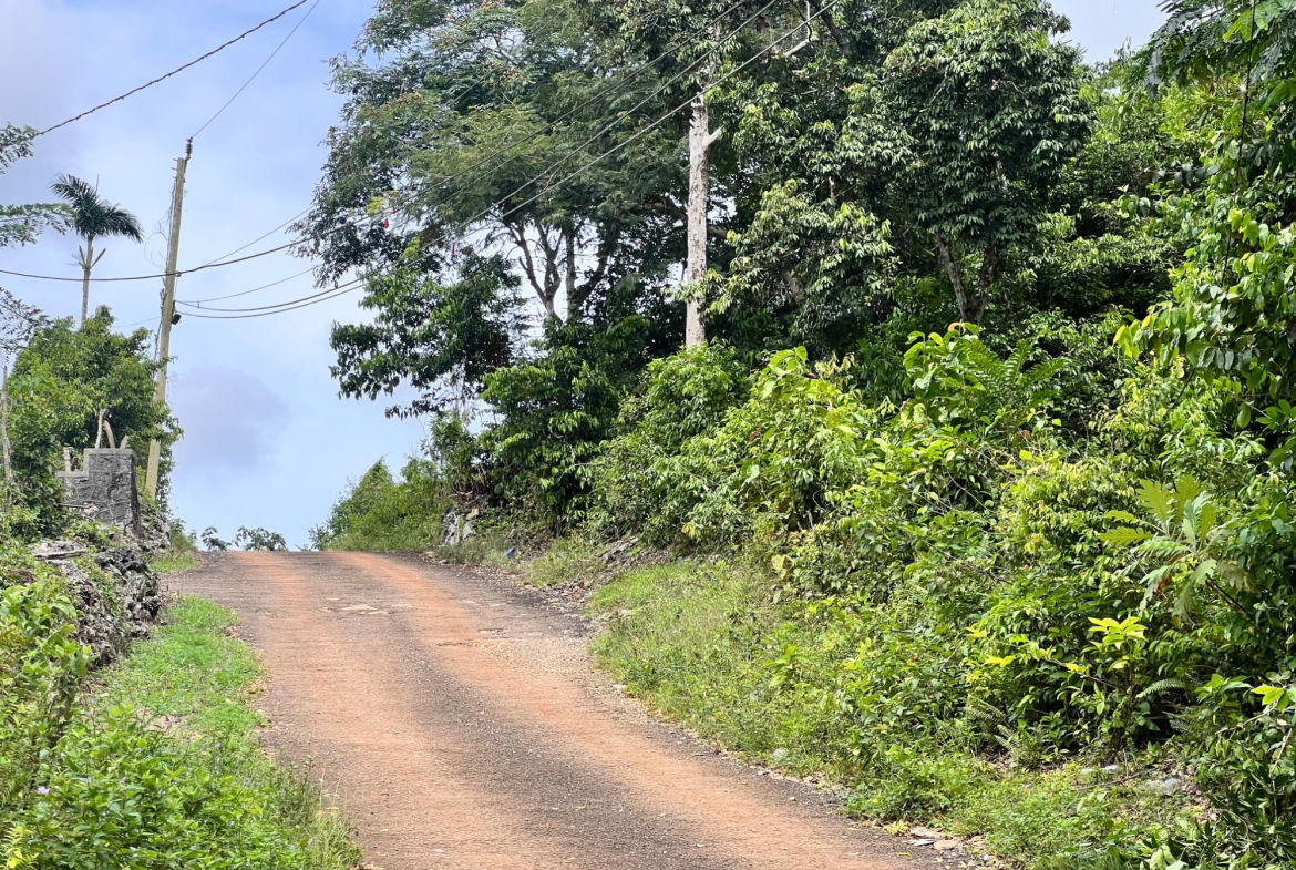 Twelfth image of Broad Street, Claremont in Claremont, St. Ann, Jamaica - property is For Sale