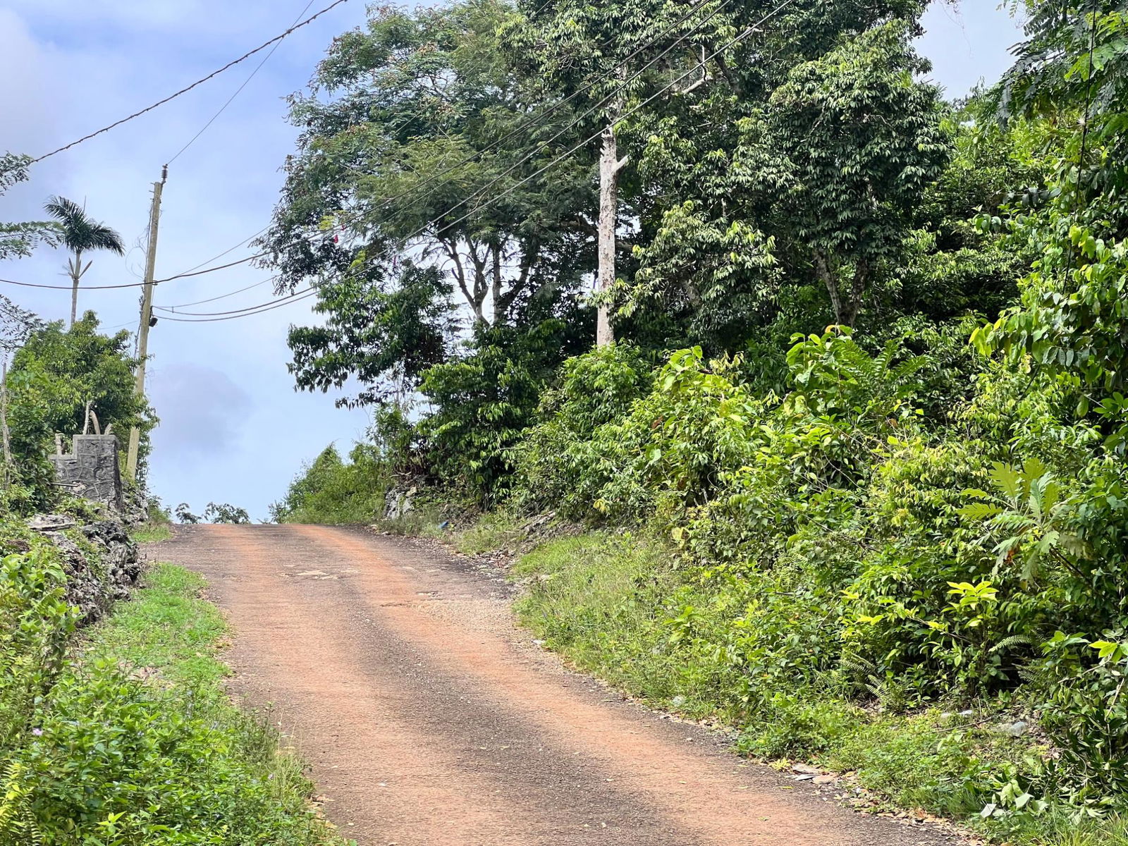 5-Acre-Hilltop-Residential-Land-for-Sale-in-Claremont-St.-Ann-Jamaica Twelfth image of Broad Street, Claremont in Claremont, St. Ann, Jamaica - property is For Sale