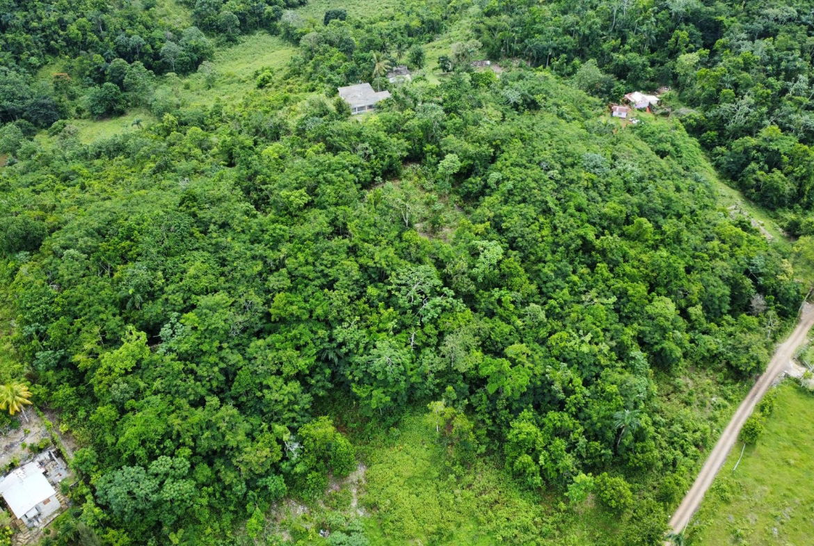 Seventh image of Broad Street, Claremont in Claremont, St. Ann, Jamaica - property is For Sale