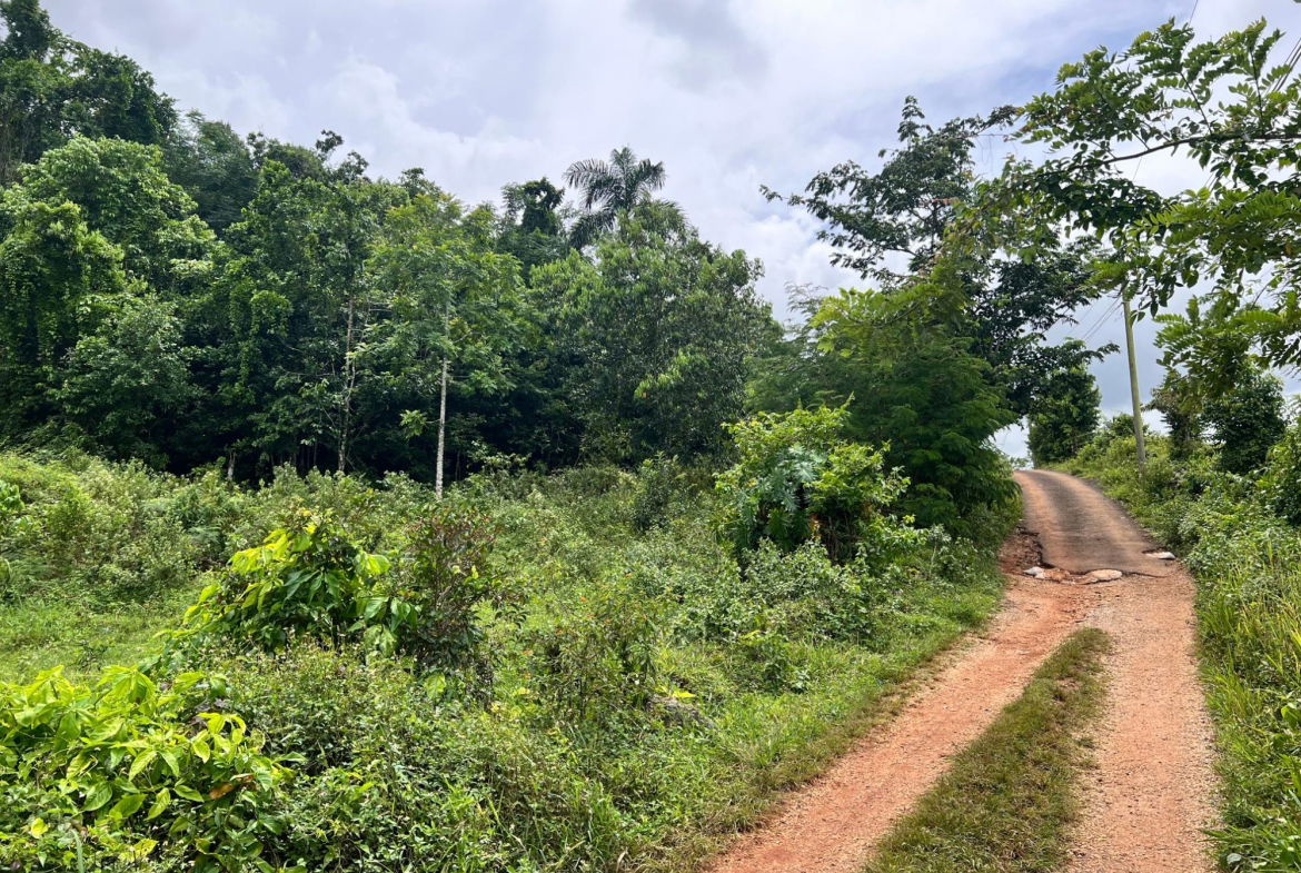 Tenth image of Broad Street, Claremont in Claremont, St. Ann, Jamaica - property is For Sale