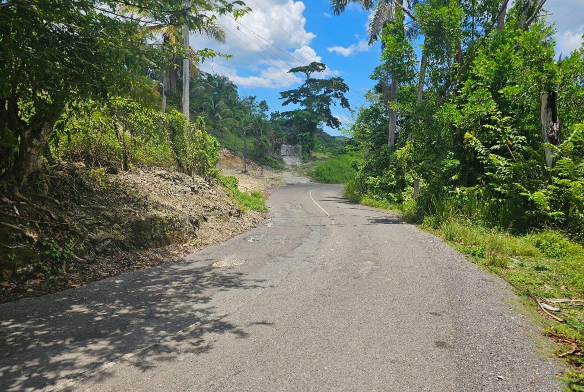 Twelfth image of Copse, Lethe Dist in Lethe, Hanover, Jamaica - property is For Sale