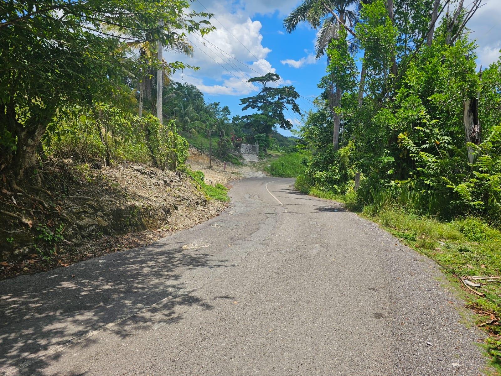 Twelfth image of Copse, Lethe Dist in Lethe, Hanover, Jamaica - property is For Sale