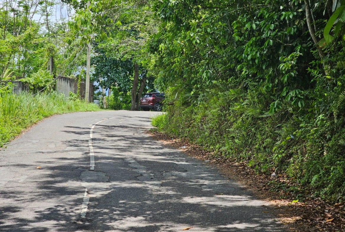 First image of Copse, Lethe Dist in Lethe, Hanover, Jamaica - property is For Sale