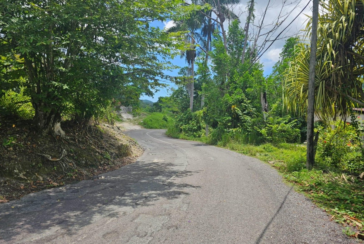 Thirteenth image of Copse, Lethe Dist in Lethe, Hanover, Jamaica - property is For Sale
