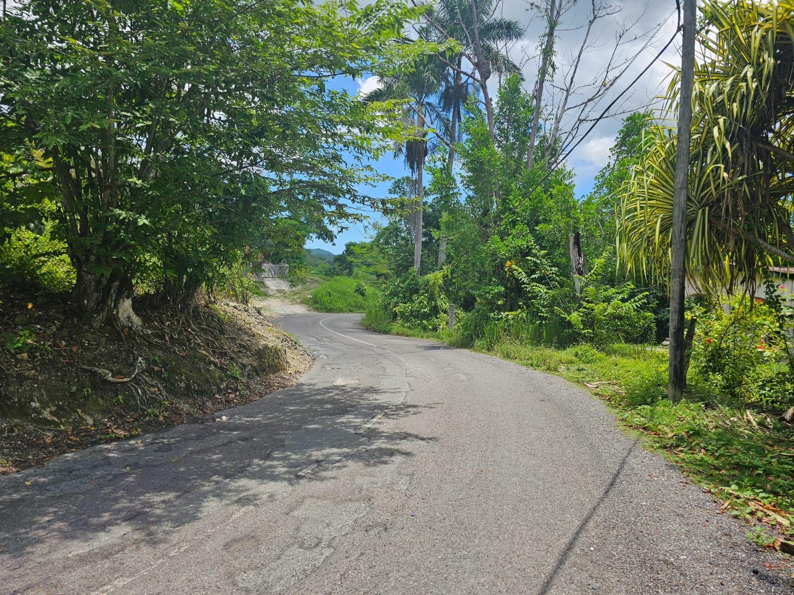 Thirteenth image of Copse, Lethe Dist in Lethe, Hanover, Jamaica - property is For Sale