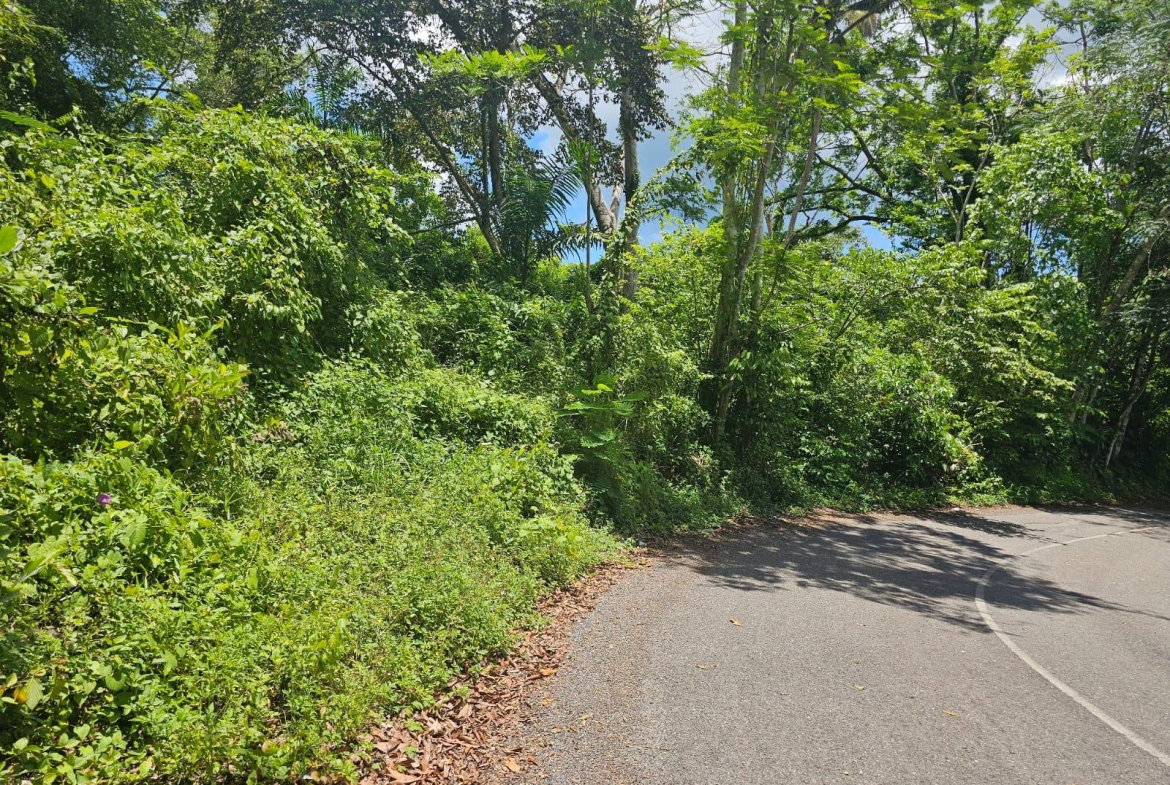 Fifteenth image of Copse, Lethe Dist in Lethe, Hanover, Jamaica - property is For Sale