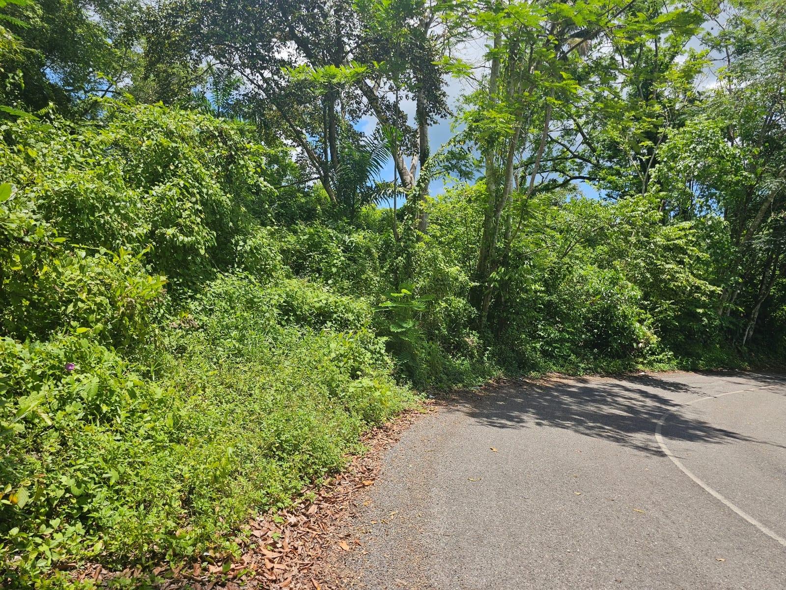 Fifteenth image of Copse, Lethe Dist in Lethe, Hanover, Jamaica - property is For Sale