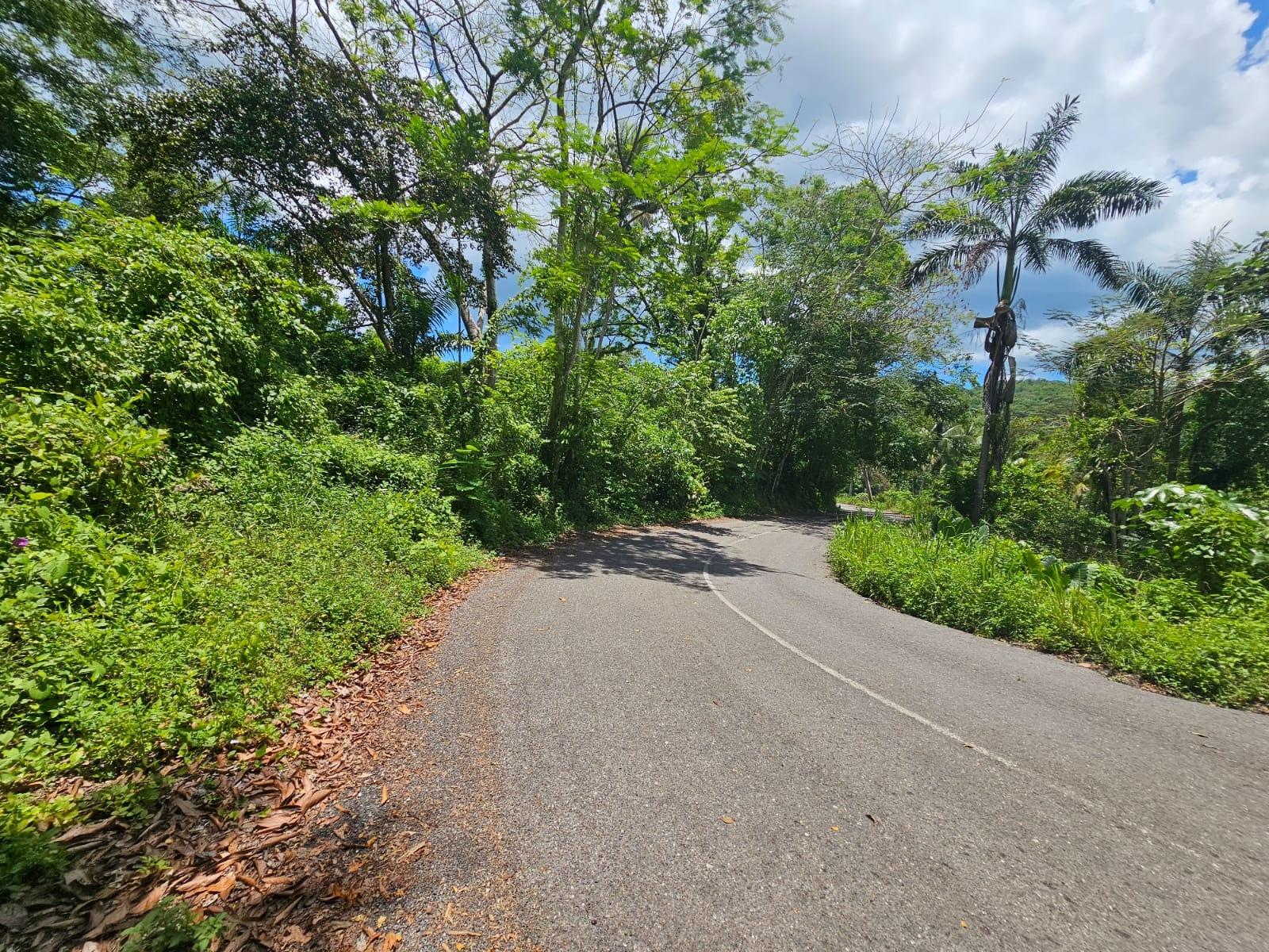 Sixteenth image of Copse, Lethe Dist in Lethe, Hanover, Jamaica - property is For Sale
