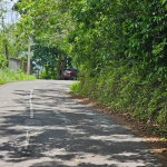 First image of Copse, Lethe Dist in Lethe, Hanover, Jamaica - property is For Sale