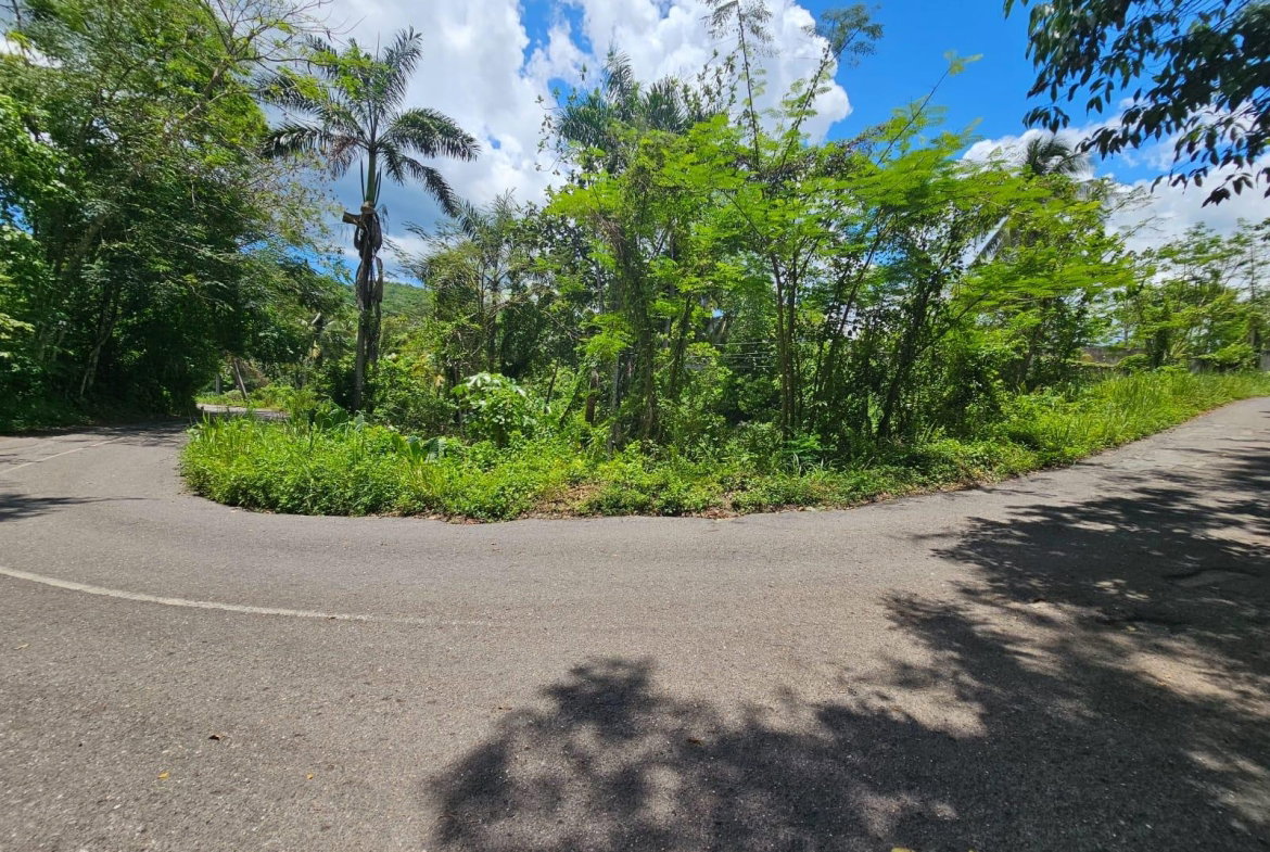 Seventeenth image of Copse, Lethe Dist in Lethe, Hanover, Jamaica - property is For Sale
