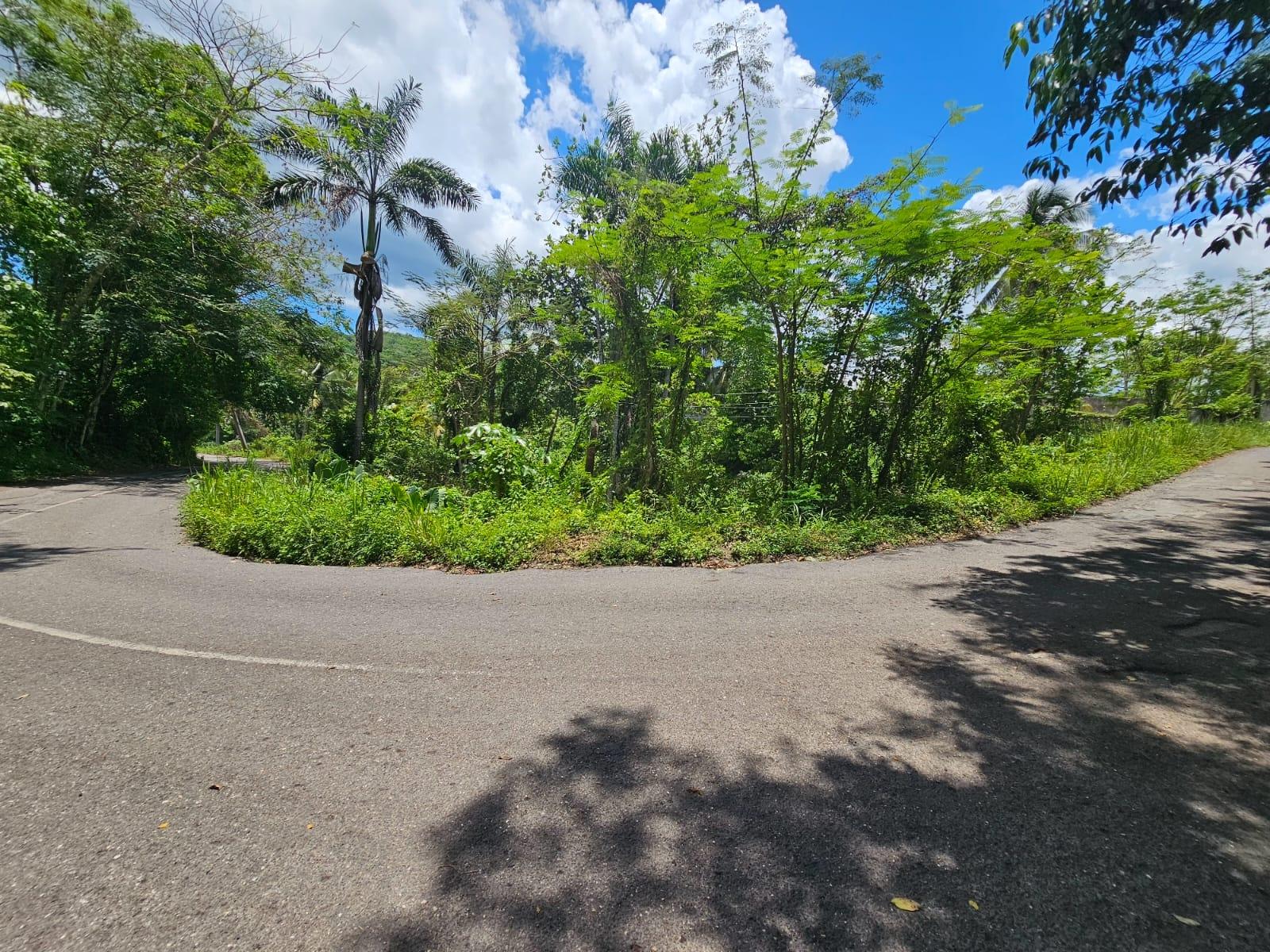 Seventeenth image of Copse, Lethe Dist in Lethe, Hanover, Jamaica - property is For Sale