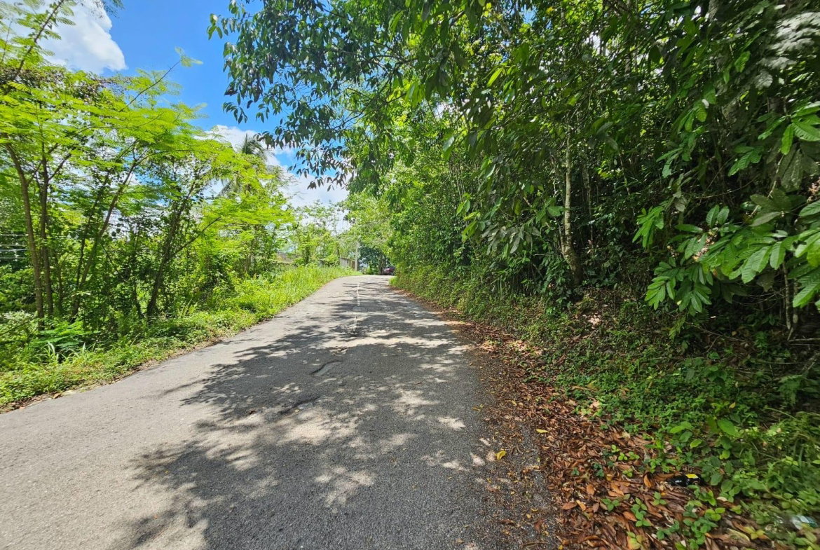 Eighteenth image of Copse, Lethe Dist in Lethe, Hanover, Jamaica - property is For Sale
